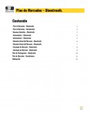 Plan de Mercadeo – Dimetronik