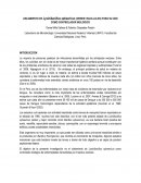 AISLAMIENTO DE Lysinibacillus sphaericus