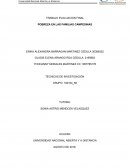 ARTICULO TECNICAS DE INVESTIGACION UNAD