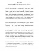 Ensayo Marketing Relacional estrategias CRM