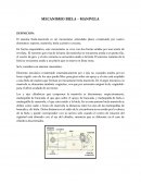 Mecanismo biela manivela