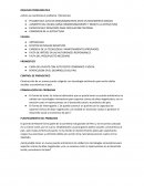 INFORME DE REALIDAD PROBLEMATICA