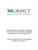 AUDITORIA FINANCIERA: UN EXAMEN DE LA CAPACIDAD Y EFECTIVIDAD DEL SISTEMA DE CONTROL EN LA EMPRESA OLYMIC JUICE CIA. LTDA. EN LA CIUDAD DE QUITO