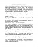 PRINCIPIOS DEL DERECHO AMBIENTAL , la noción moderna del desarrollo económico, político y social