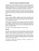 Grupo de maíces de maduración tardía