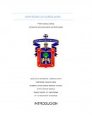 PIF: LA CREACION DE MI EMPRESA