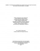 DISEÑO Y FACTIBILIDAD ECONÓMICA DEL MONTAJE DE UNA PLANTA DE ÁCIDO SULFÚRICO EN SANTANDER, COLOMBIA