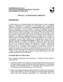 PRÁCTICA 1. EL MICROSCOPIO COMPUESTO