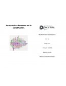 Los derechos humanos de la constitucion y sus garantias