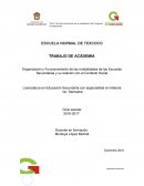 Organización y Funcionamiento de las modalidades de las Escuelas Secundarias y su relación con el Contexto Social