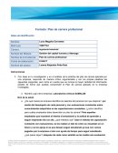 Formato: Plan de carrera profesional