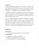 SISTEMAS ECONÓMICOS CONCEPTO Y FUNCIONES LA ACTIVIDAD ECONÓMICA