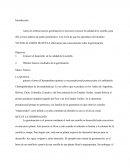 Informe QUÉ ES LA GERMINACIÓN