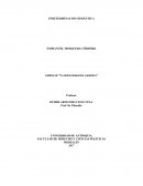 Análisis de “La indeterminación semántica"