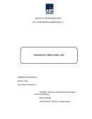 Técnico en Administración de Empresas, mención en Marketing