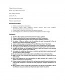 Trabajo Práctico de Literatura Novela: “Es tan difícil volver a Ítaca”