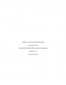 Control Análisis con el método del árbol de causas