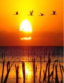 VIAJE EDUCATIVO LAGUNA MAR CHIQUITA