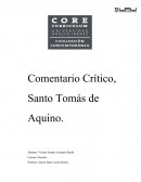 Comentario critico Santo Tomas, La monarquía