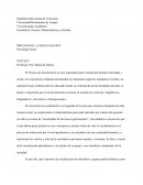 PROCESO DE LA SOCIALIZACION