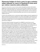 Eliminación biológica de fenol a partir de aguas residuales salinas