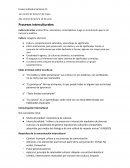 Procesos interculturales