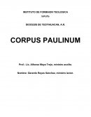 Corpus paulinum