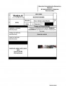 Dirección Universitaria de Educación a Distancia EP Administración y Negocios Internacionales