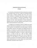 Expresiones Artísticas de Venezuela
