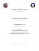 Investigacion cualitativa sobre suicidio