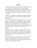 La lingüística es el área central del estudio del lenguaje