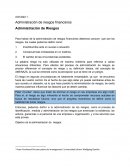 Actividad 1. Administración de riesgos financieros Administración de Riesgos