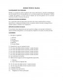 MANUAL TECNICO: Electrick