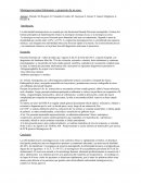 Enfermedades en pediatria meningitis