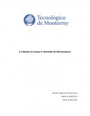 Simulador de Microempresa ensayo