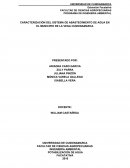 CARACTERIZACIÓN DEL SISTEMA DE ABASTECIMIENTO DE AGUA EN EL MUNICIPIO DE LA VEGA CUNDINAMARCA
