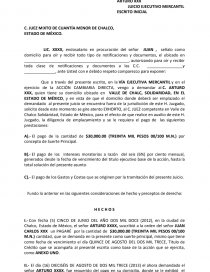 MODELO DE ESCRITO JUICIO EJECUTIVO MERCANTIL - Prácticas o problemas -  Paoregasala