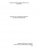 REPORTE DEL PROGRAMA INTRAMENTE (VIOLENCIA INTRAFAMILIAR)