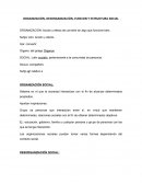 ORGANIZACIÓN, DESORGANIZACIÓN ESTRUCTURA SOCIAL