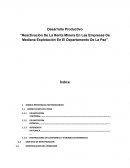 Reactivación De La Renta Minera En Las Empresas De Mediana Explotación En El Departamento De La Paz