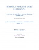 SISTEMAS DE INFORMACIÓN PARA LA ADMINISTRACIÓN DE PROYECTOS