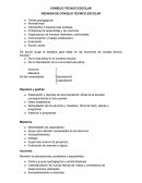 CONSEJO TECNICO ESCOLAR REUNION DE CONSEJO TECNICO ESCOLAR