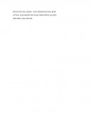 FRACCION DEL LIBRO: “LOS GIRASOLES DEL MAR”