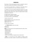 Geologia MUSEO INCA