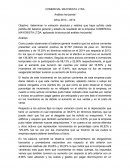 Analisis vertical y horizontal empresa el comerciante