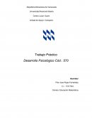 Trabajo Práctico Desarrollo Psicológico Cód.: 570