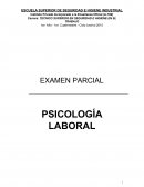 Psicologia EXAMEN PARCIAL