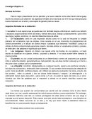 Aspectos de Forma y Fondo de la Redaccion