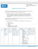 Diferencias culturales y negocios