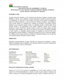 IDENTIFICACION DE ALDEHIDOS Y CETONAS